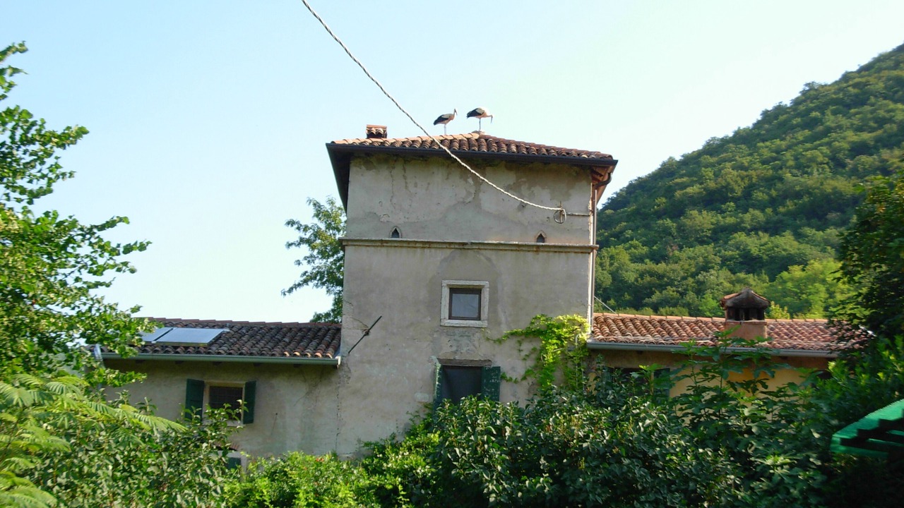 Photo of Outdoor in Nord-Est