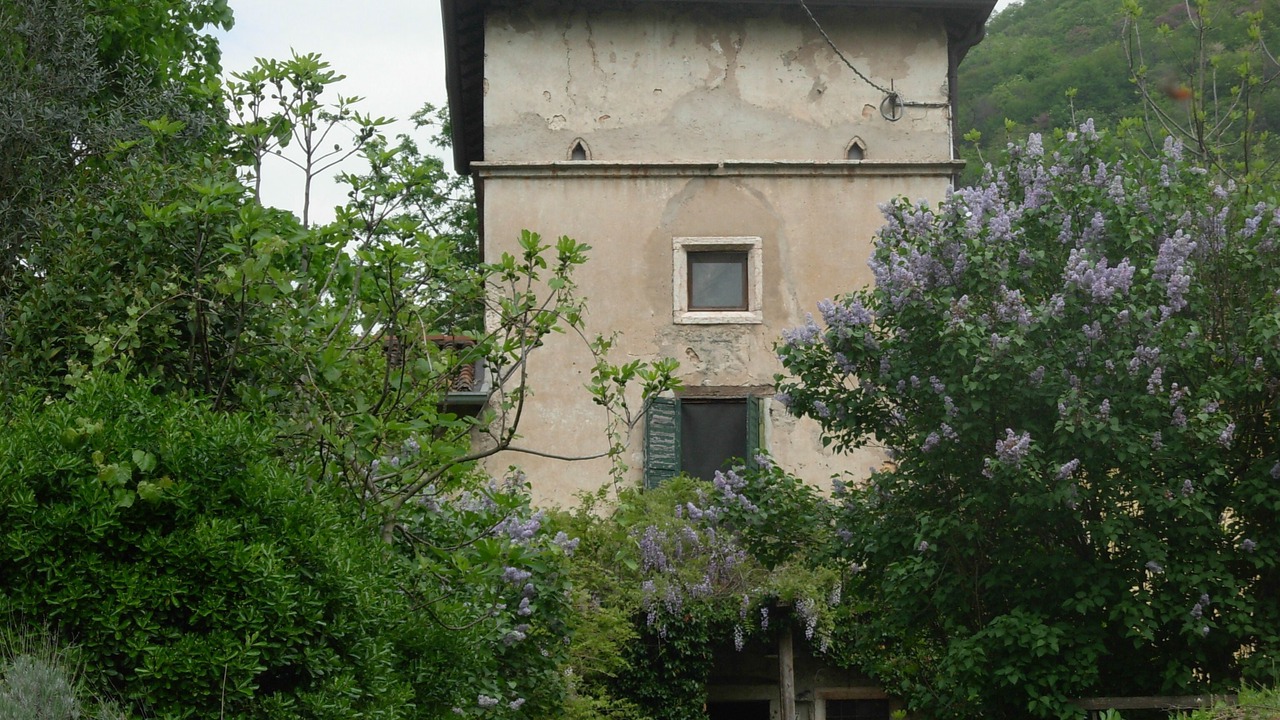 Photo of Outdoor in Nord-Est