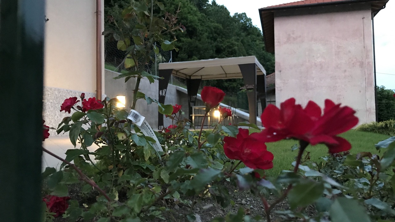 Photo of Outdoor in Garzeno