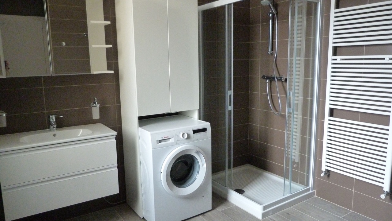Photo of Bathroom in Garzeno