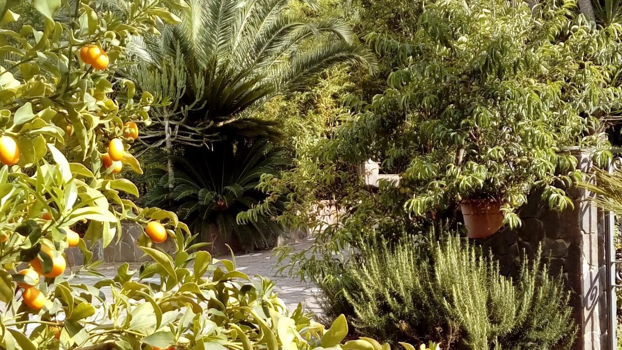 Photo of Outdoor in Drapia
