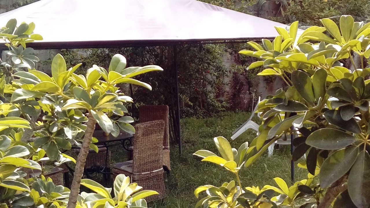 Photo of Outdoor in Drapia