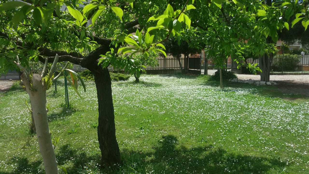 Photo of Outdoor in Mosciano Sant'Angelo