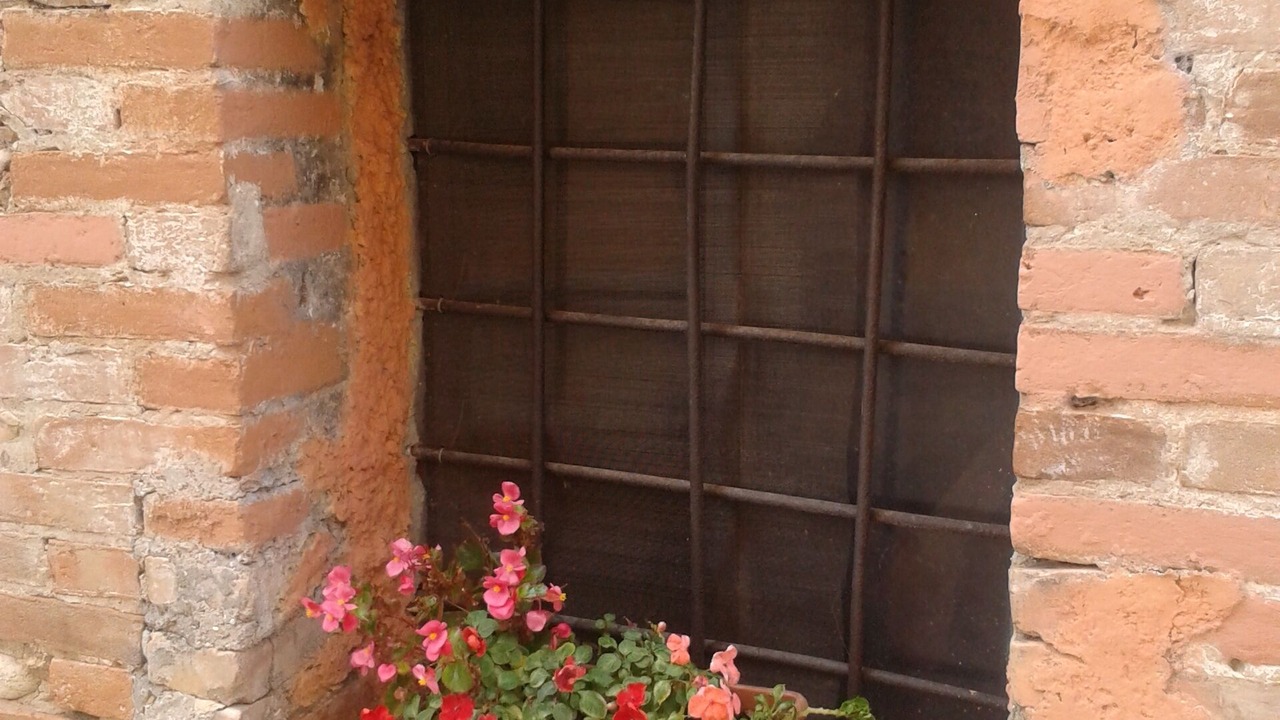 Photo of Outdoor in Mosciano Sant'Angelo