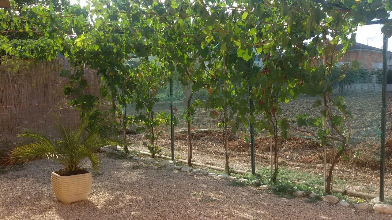 Photo of Outdoor in Mosciano Sant'Angelo