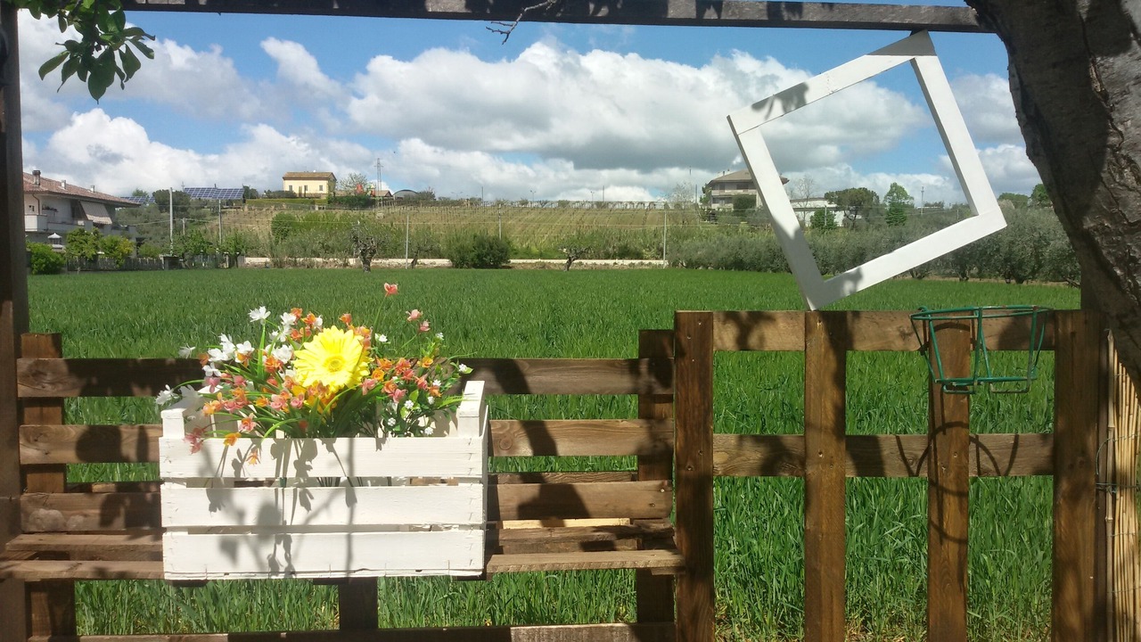 Photo of Outdoor in Mosciano Sant'Angelo