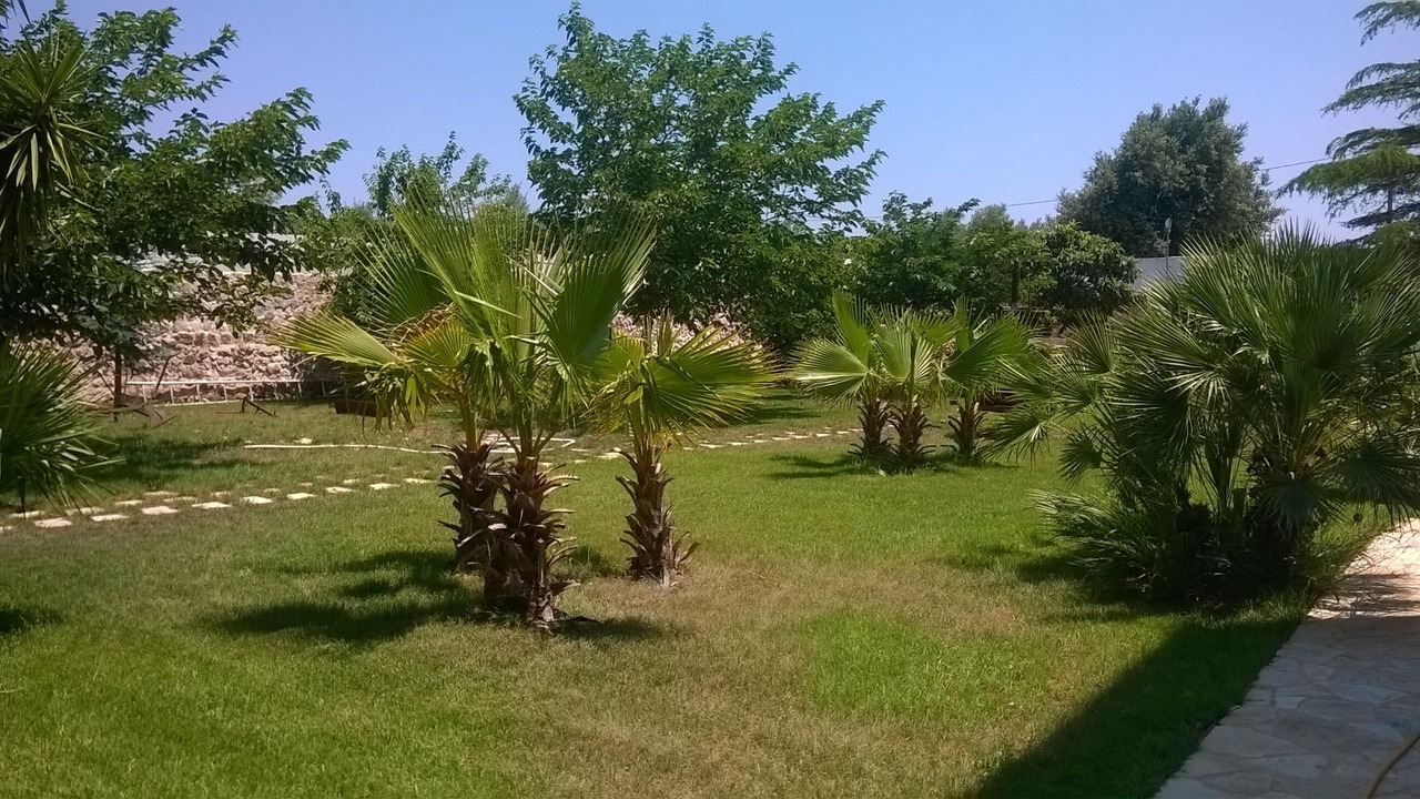 Photo of Outdoor in Francavilla Fontana