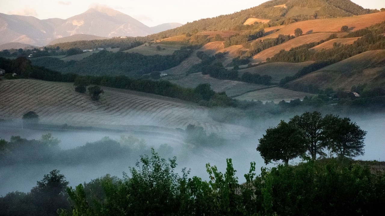 Photo of Outdoor in Arcevia