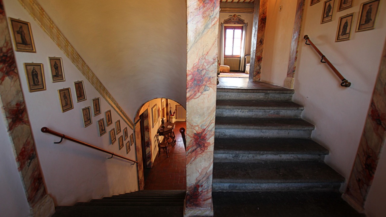 Photo of Others in Fucecchio