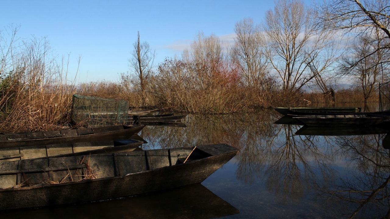 Photo of Outdoor in Fucecchio