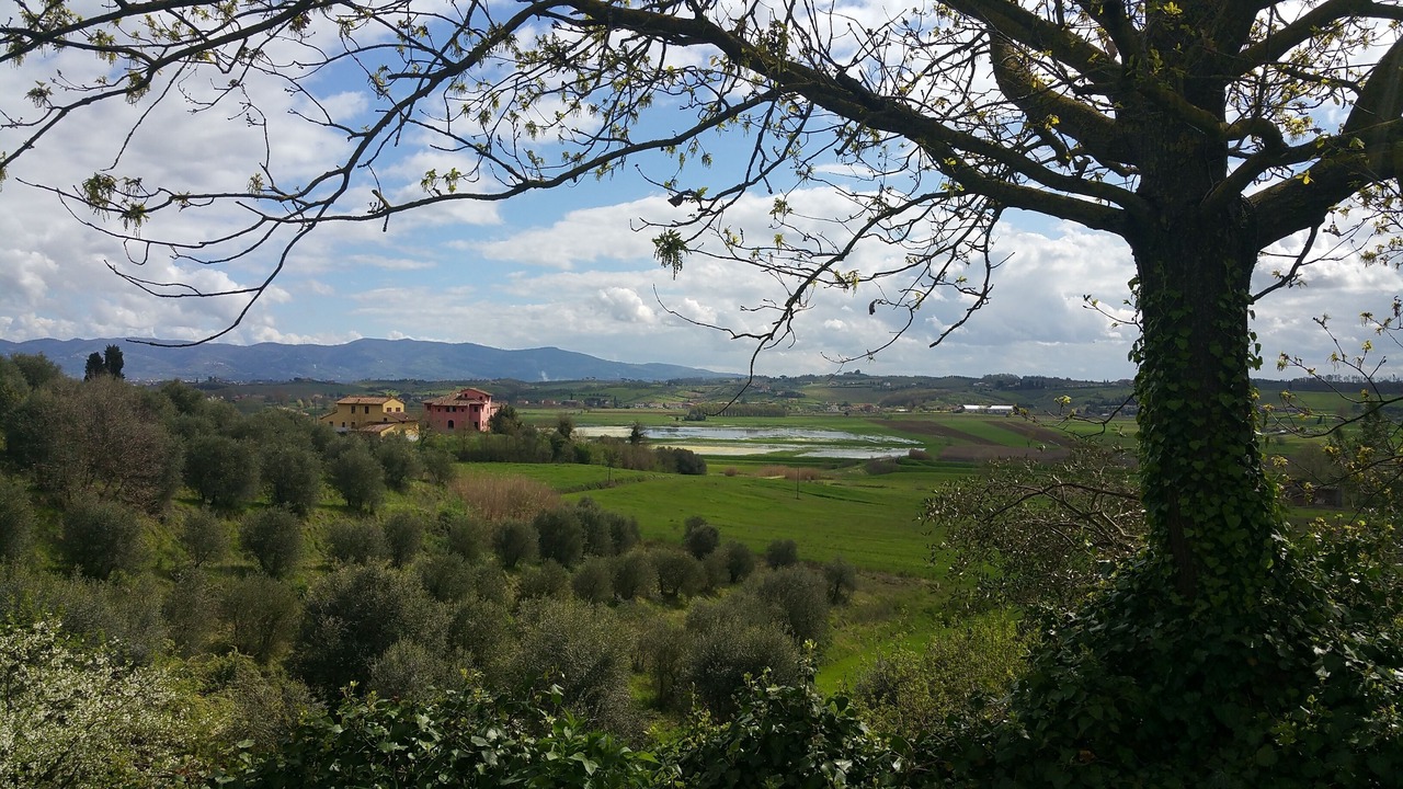 Photo of Outdoor in Fucecchio