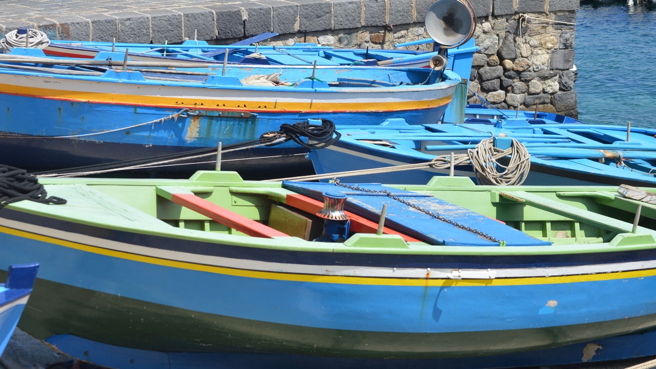 Photo of Others in Scilla