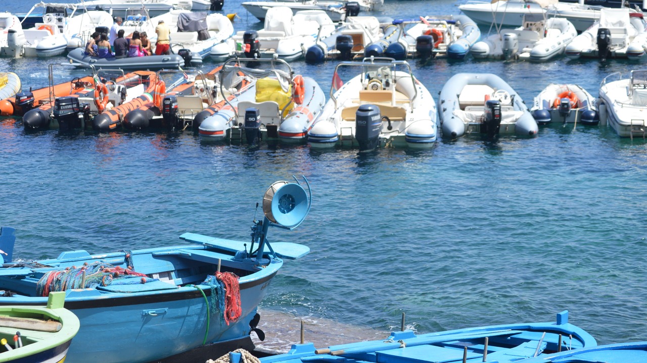 Photo of Others in Scilla