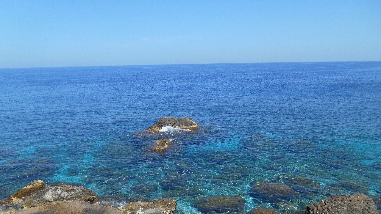 Photo of Others in Scilla