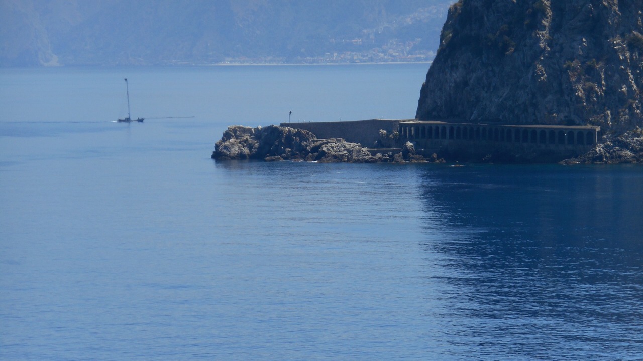 Photo of Others in Scilla