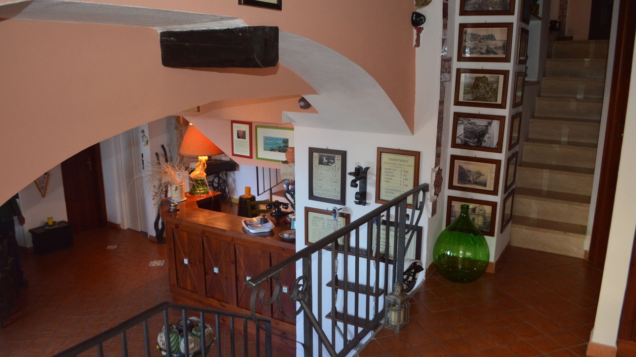 Photo of Others in Scilla