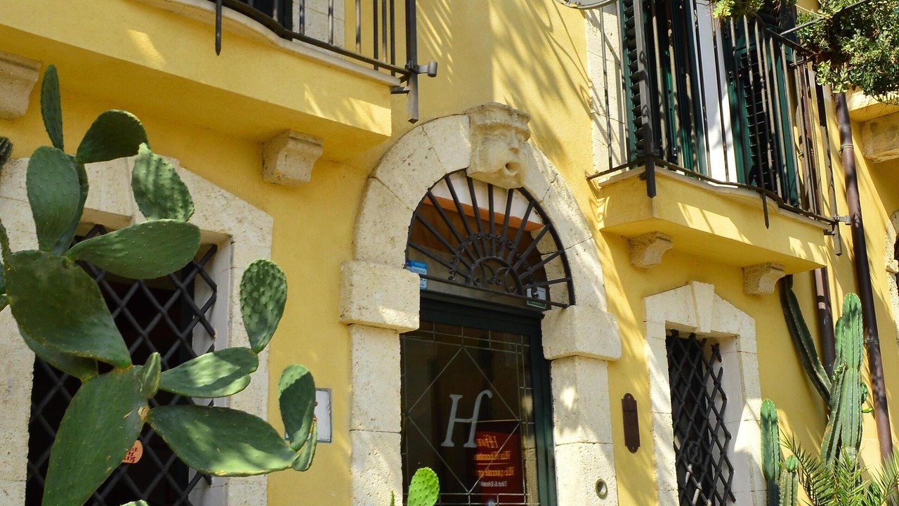 Photo of Outdoor in Scilla