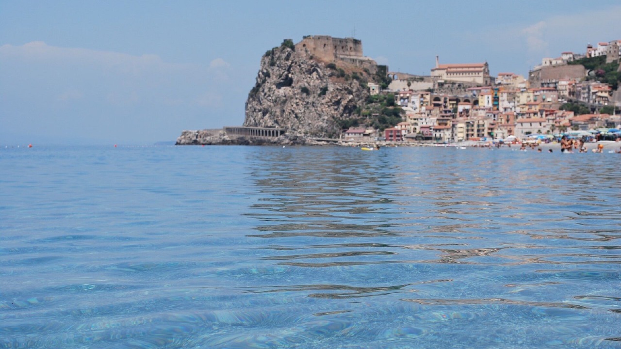 Photo of Others in Scilla