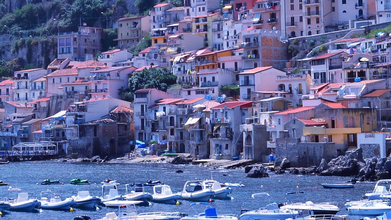 Photo of Others in Scilla