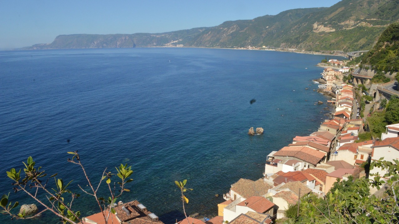 Photo of Outdoor in Scilla