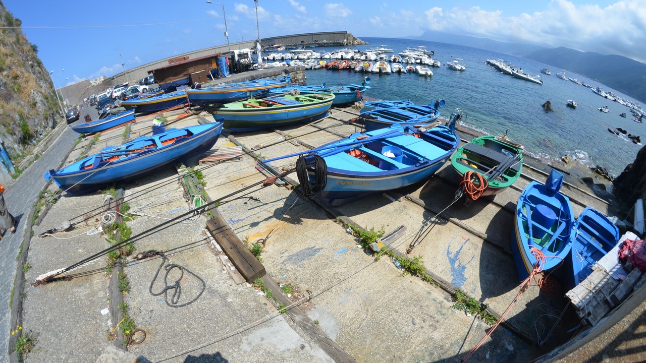 Photo of Others in Scilla