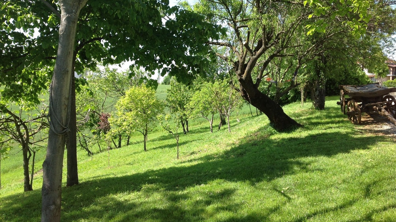 Photo of Outdoor in Incisa Scapaccino