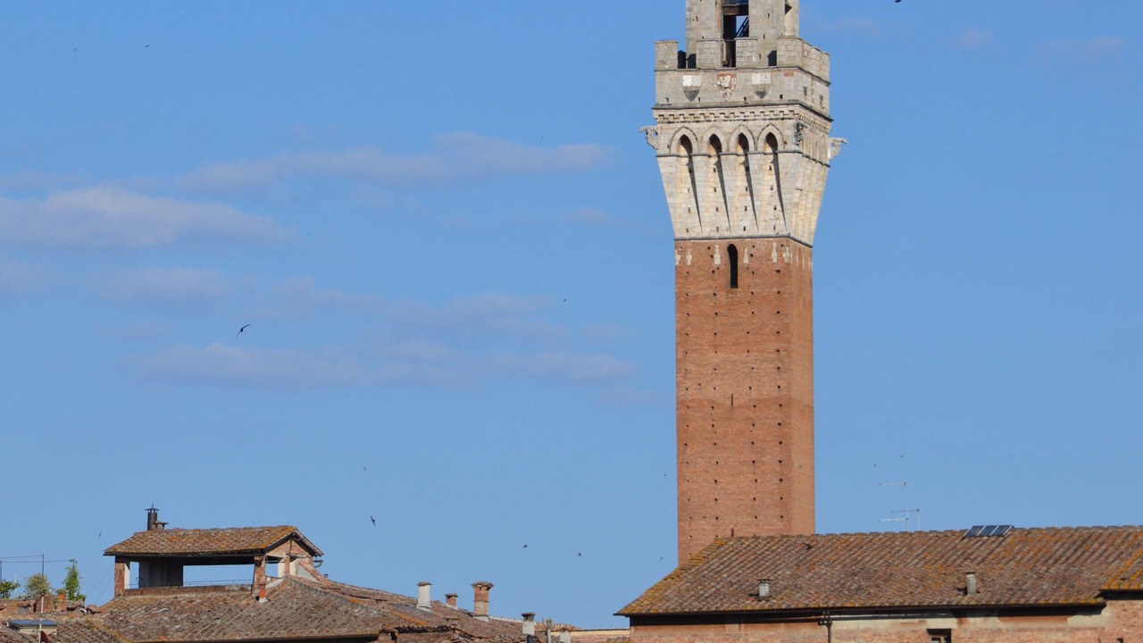 Photo of Others in Siena Historical Center