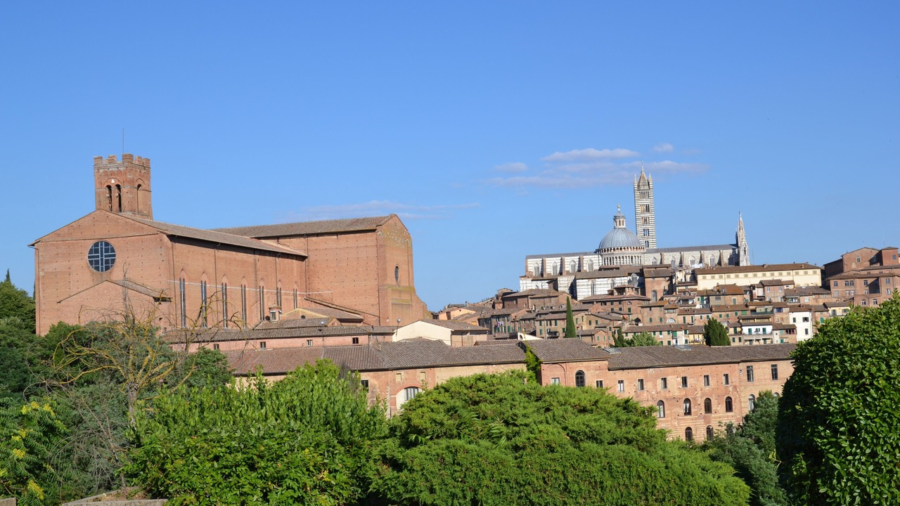 Photo of Others in Siena Historical Center