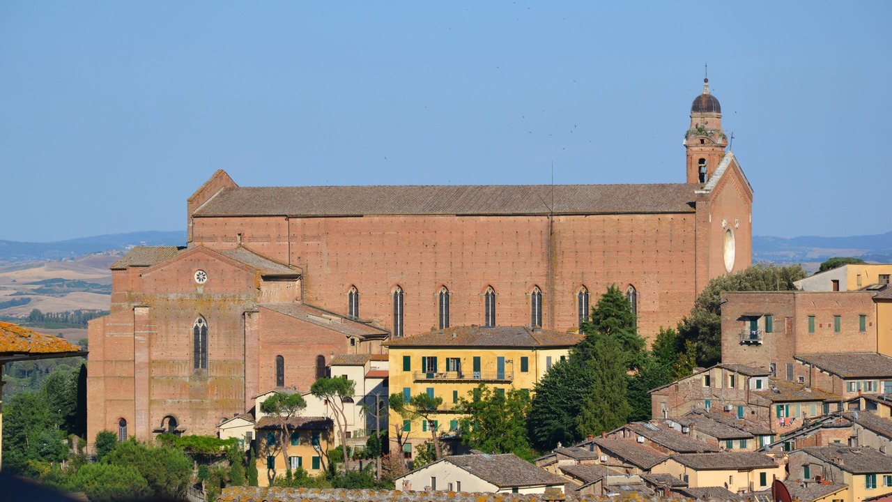 Photo of Outdoor in Siena Historical Center