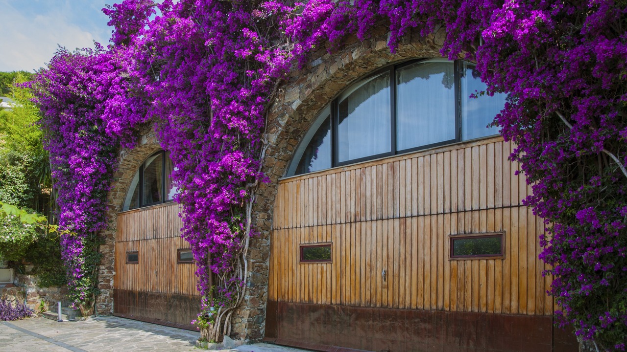Photo of Outdoor in Arenzano