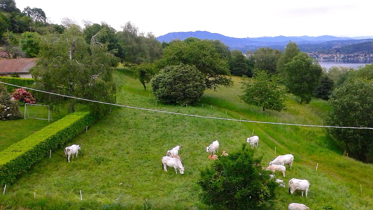 Photo of Outdoor in Nebbiuno