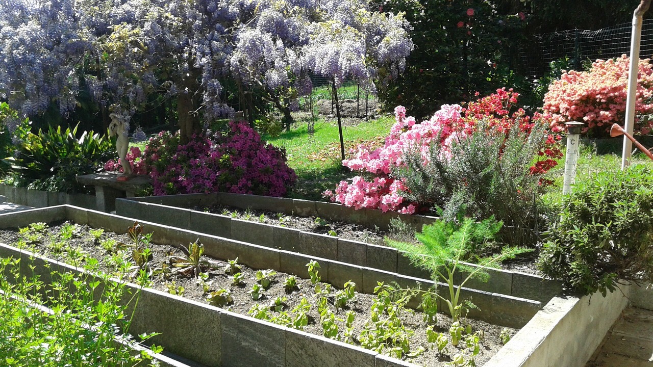 Photo of Outdoor in Nebbiuno