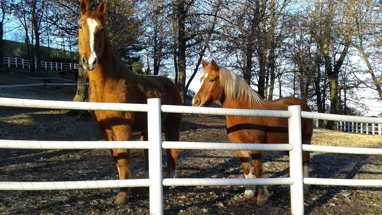 Photo of Outdoor in Nebbiuno