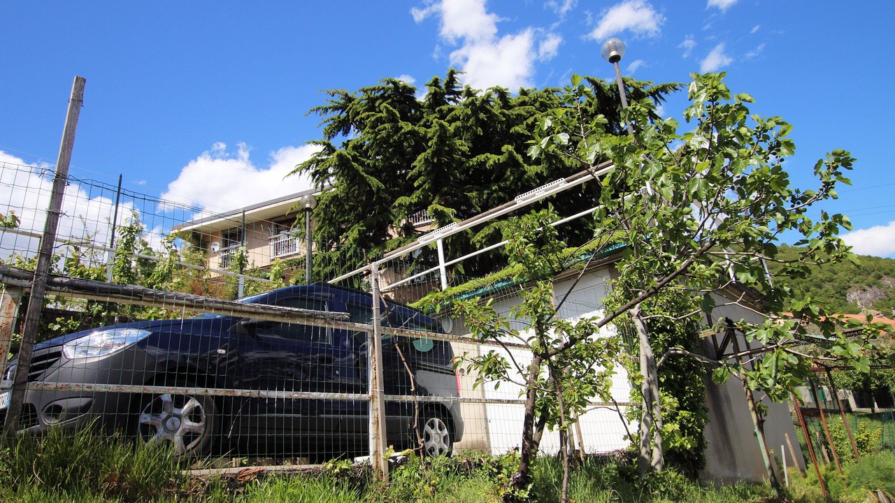 Photo of Outdoor in Zorzino