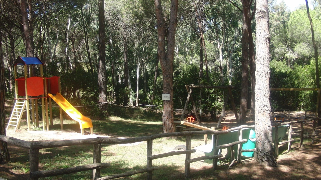 Photo of Others in Narbolia