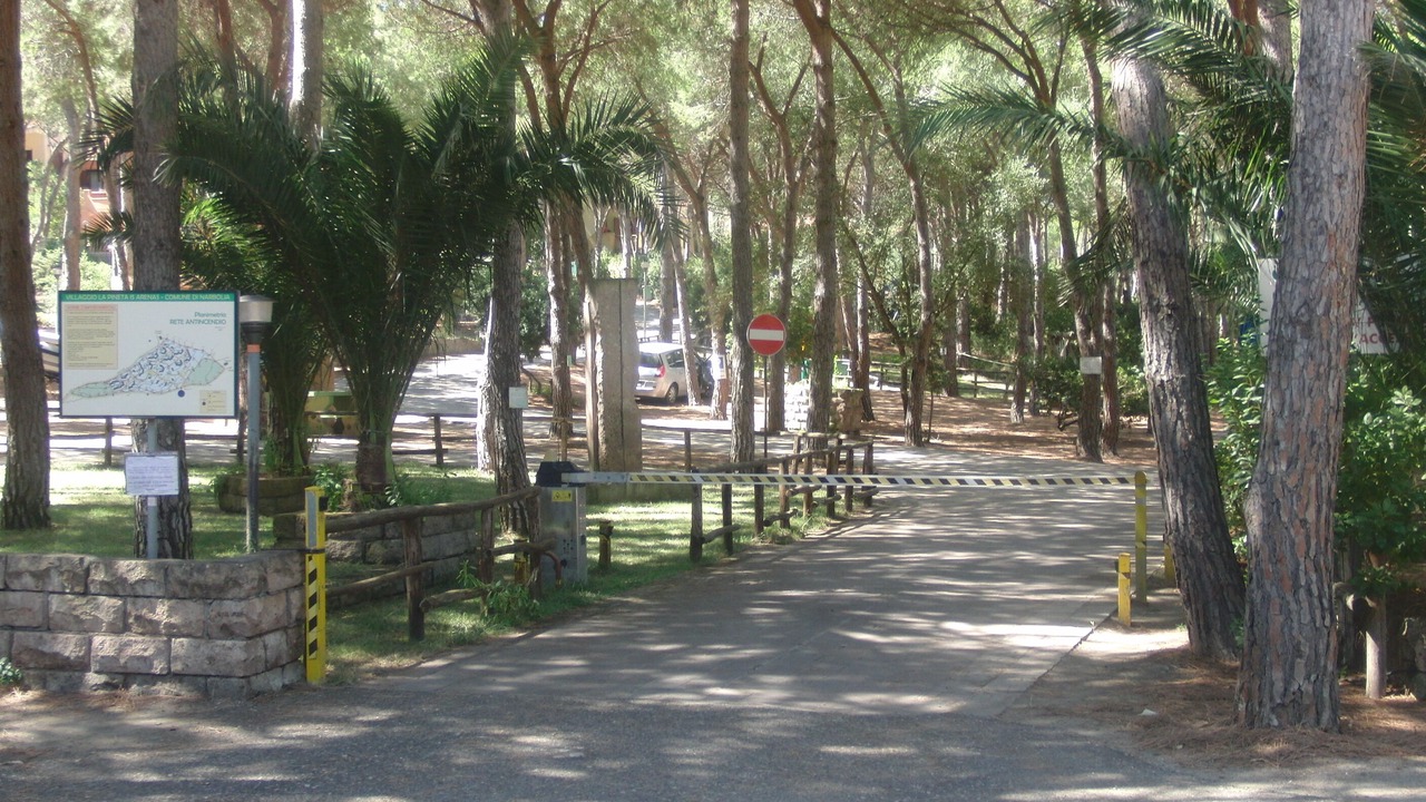Photo of Outdoor in Narbolia