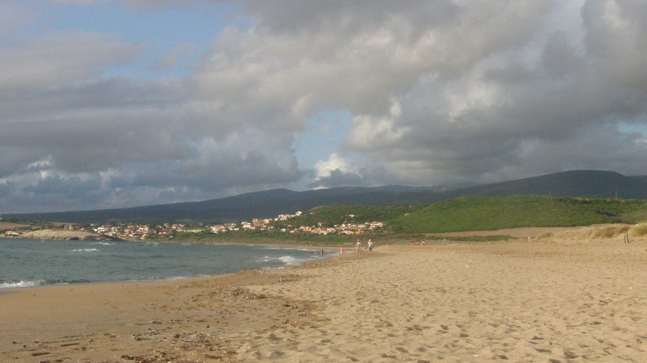 Photo of Others in Narbolia