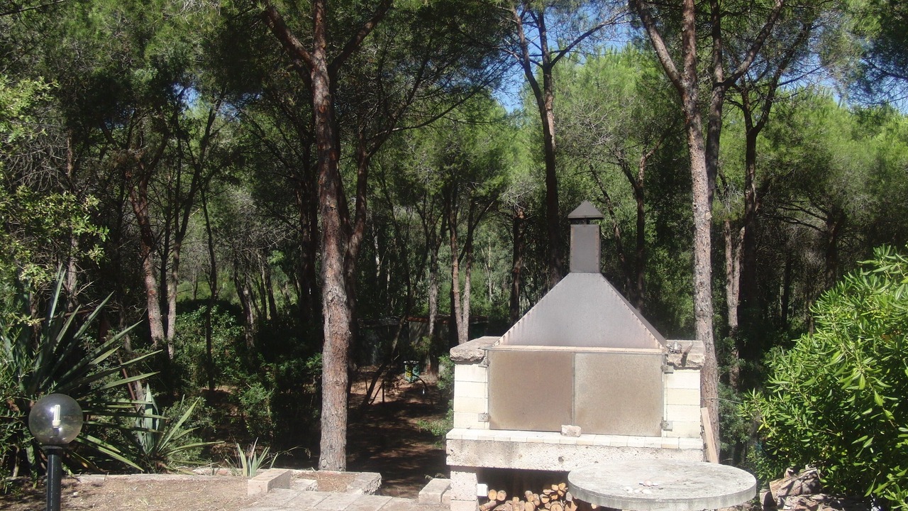 Photo of Outdoor in Narbolia