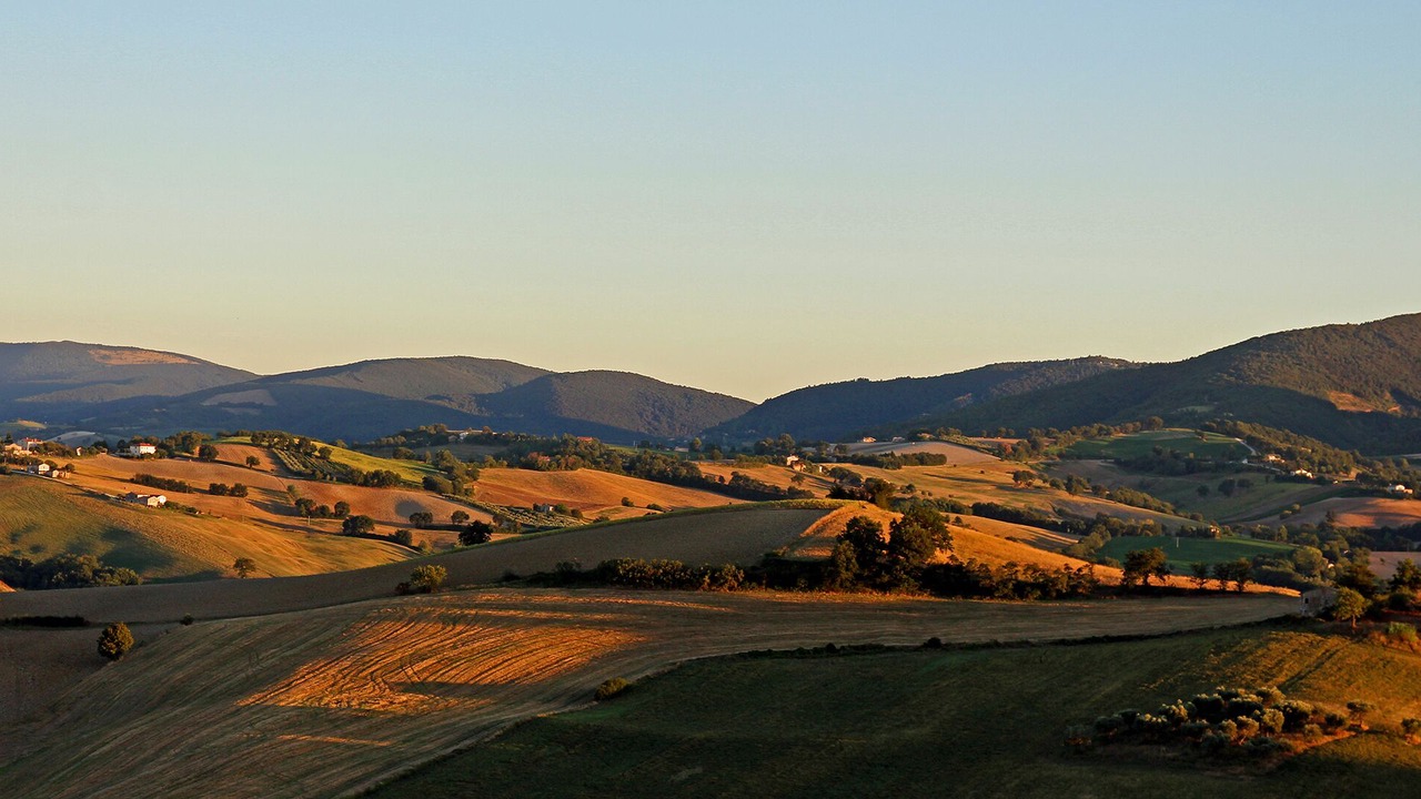 Photo of Others in Serra de' Conti