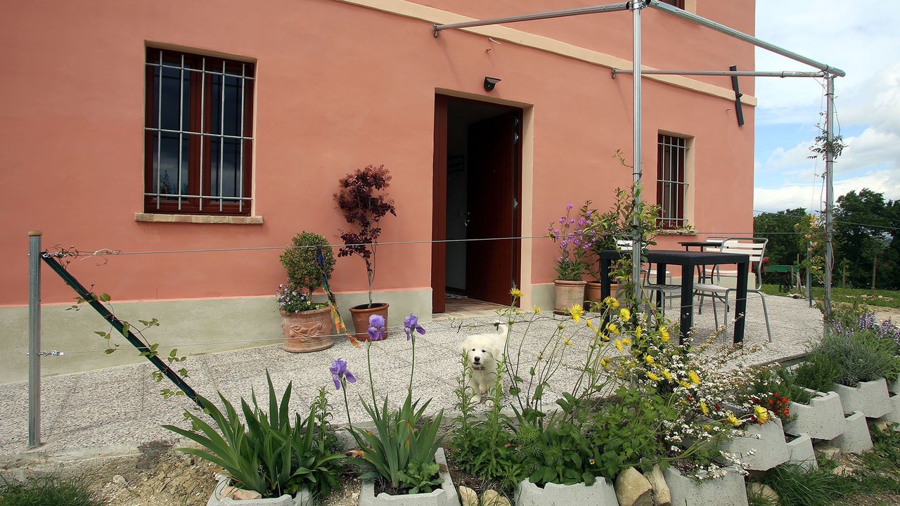 Photo of Outdoor in Serra de' Conti