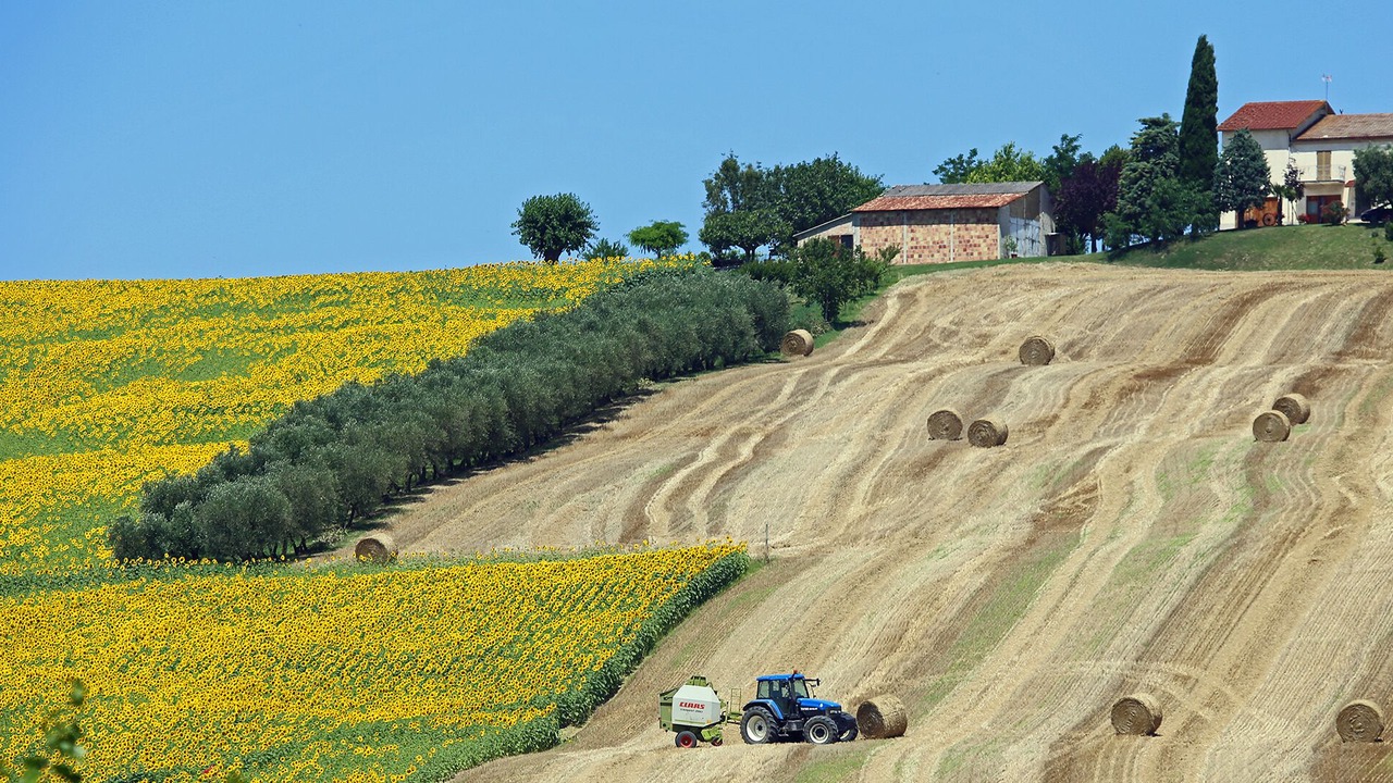 Photo of Outdoor in Serra de' Conti