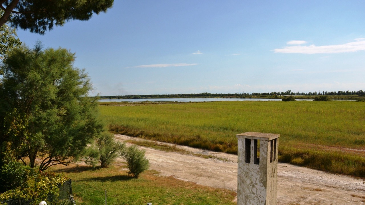 Photo of Outdoor in Lido di Spina