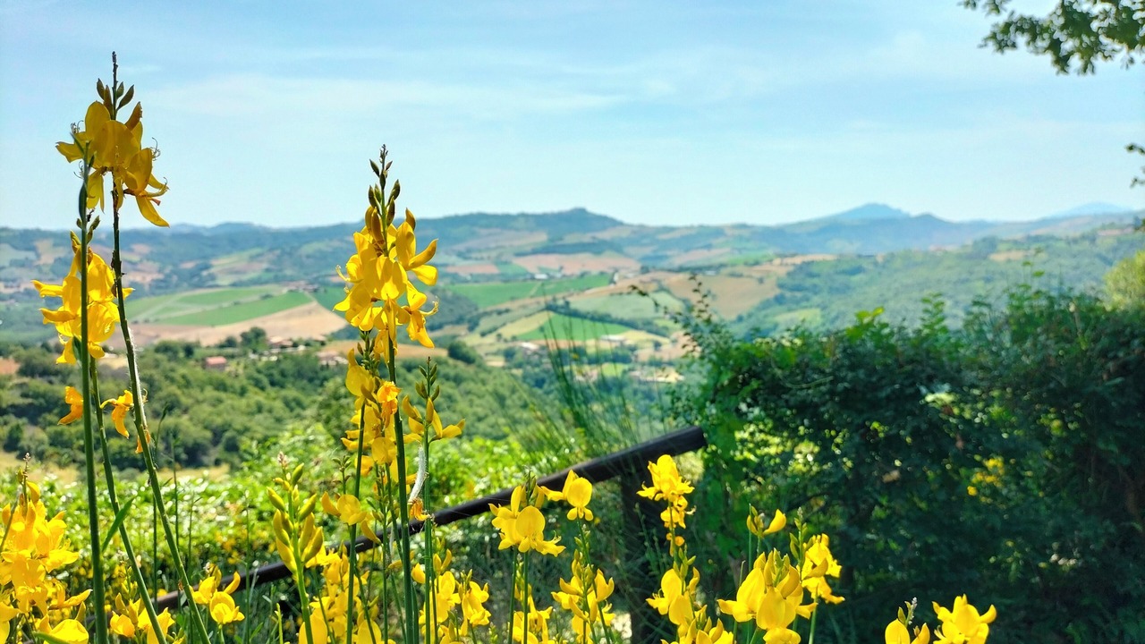 Photo of Outdoor in Penna San Giovanni