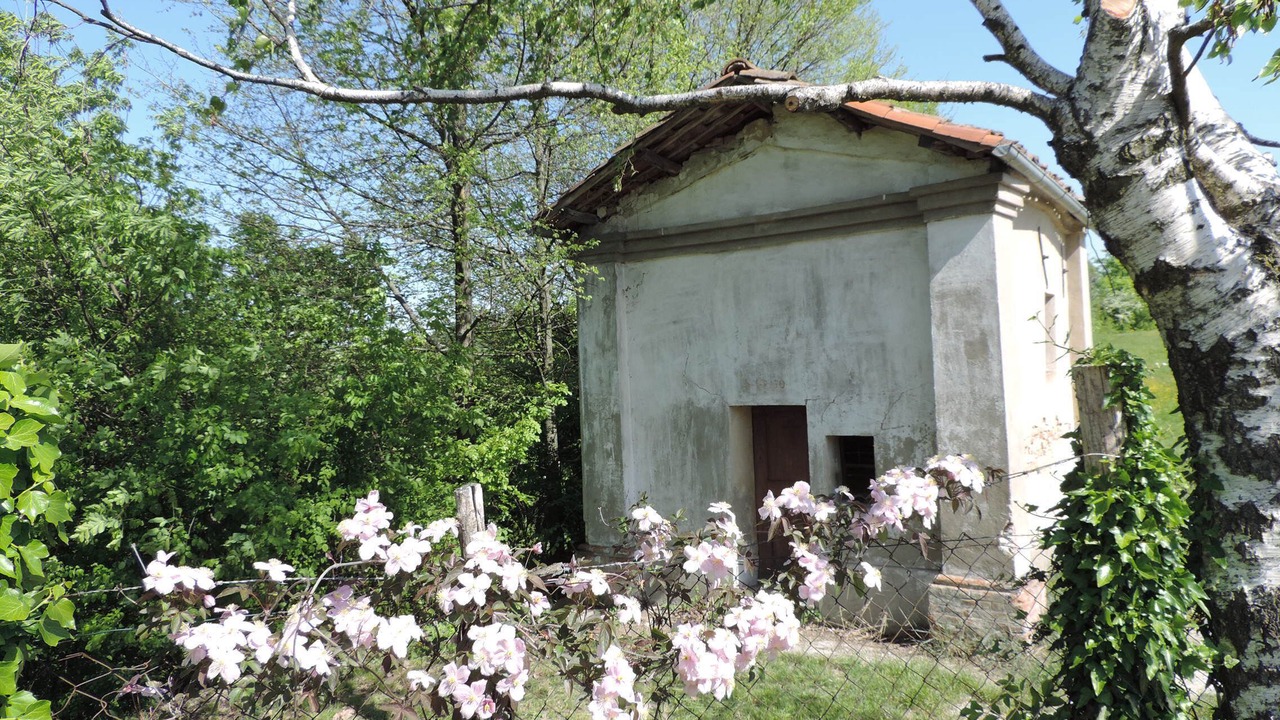 Photo of Outdoor in Cocconato