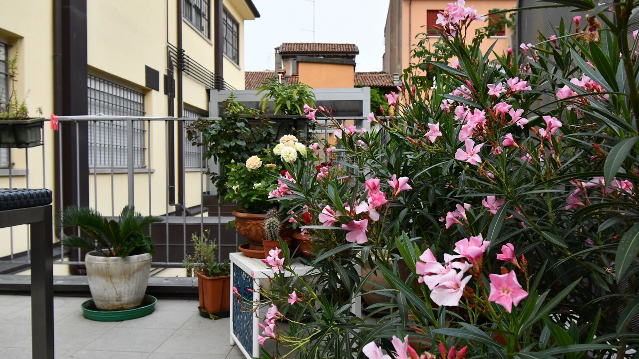 Photo of Outdoor in Historic Center