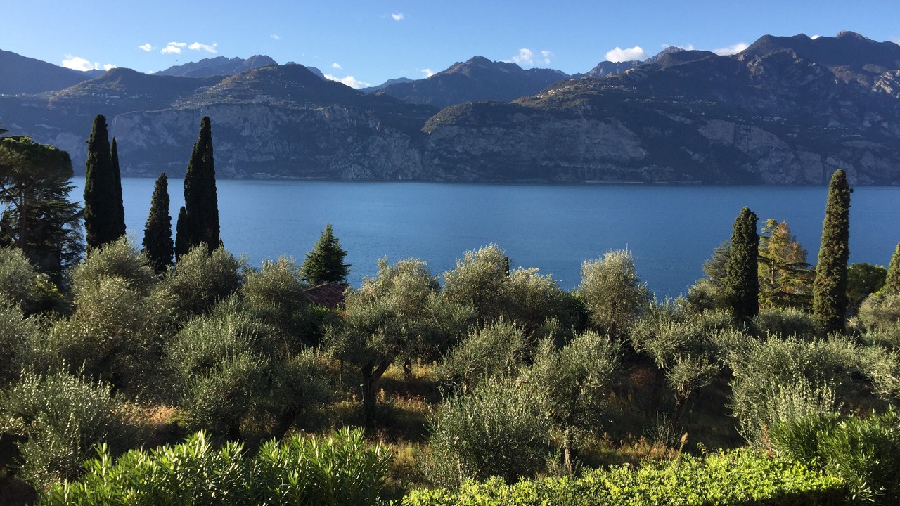 Photo of Others in Malcesine