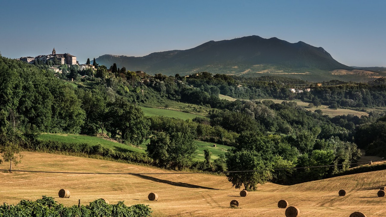 Photo of Others in Collevecchio