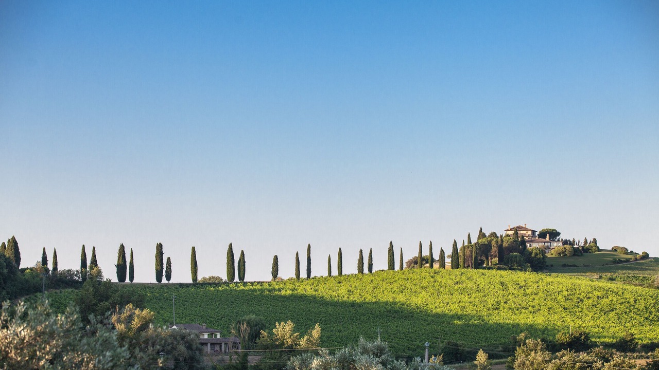 Photo of Outdoor in Collevalenza