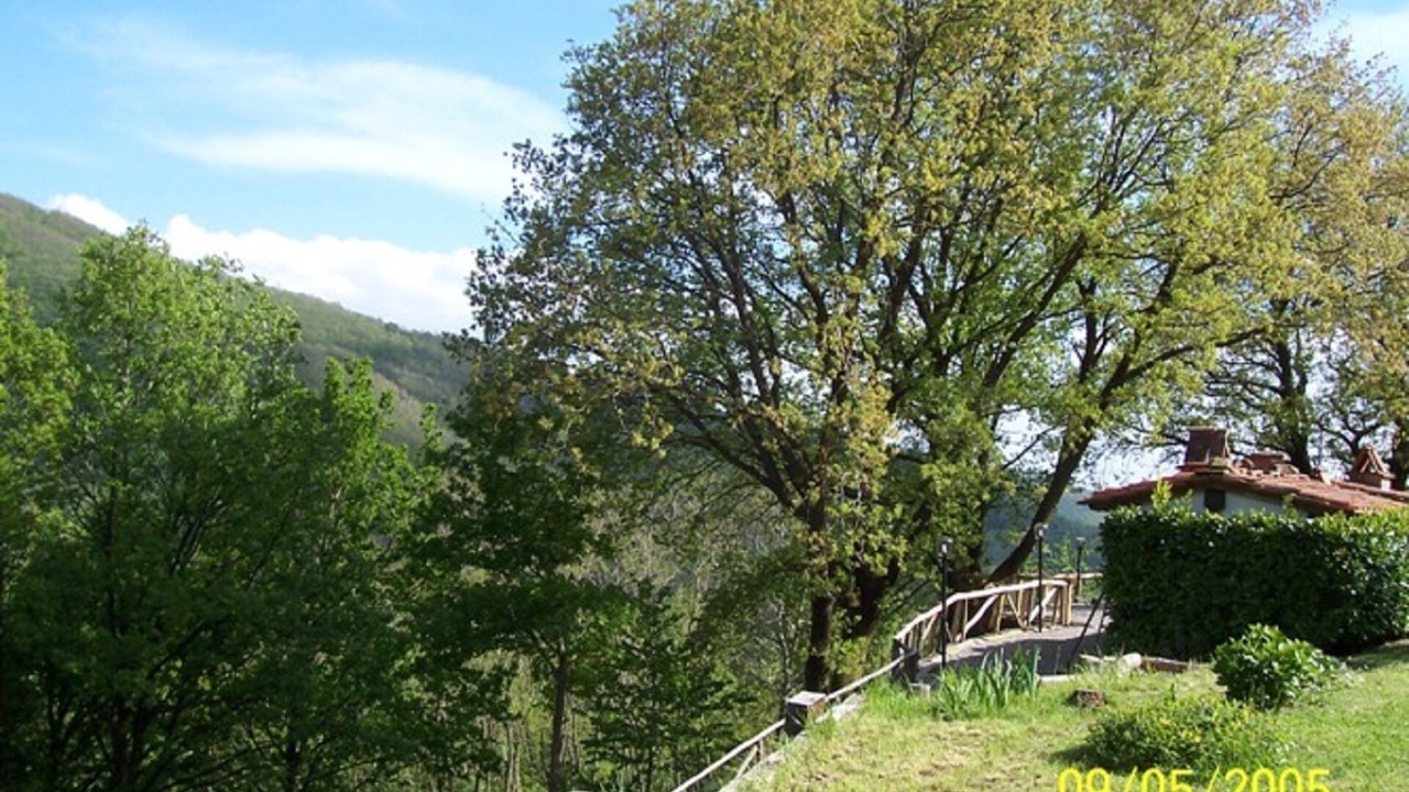 Photo of Outdoor in San Momme
