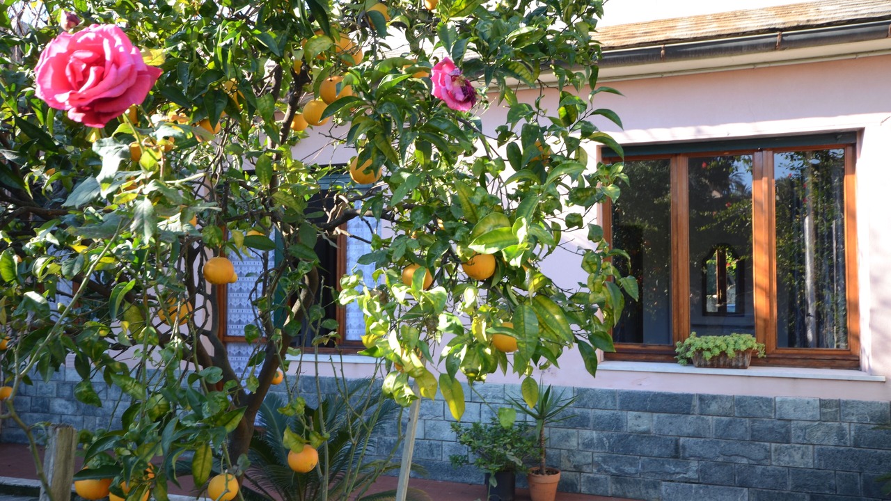 Photo of Outdoor in Sant'Ilario